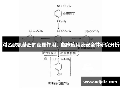 对乙酰氨基酚的药理作用、临床应用及安全性研究分析